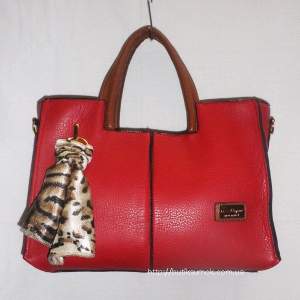 Женская сумка Salvatore Ferragamo Red Женская сумка Salvatore Ferragamo Red