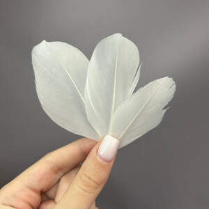 Перья гусиные для рукоделия 5-7 см, 50шт - теплый белый Перья гусиные для рукоделия 5-7 см, 50шт - теплый белый