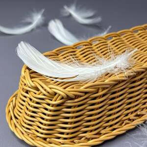 Перья гусиные для рукоделия 9-13 см, 95шт - теплый белый Перья гусиные для рукоделия 9-13 см, 95шт - теплый белый