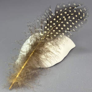 Перья куриные для рукоделия 5-10 см, 50шт - бежевый