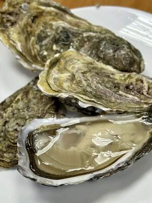 Устриця Special St Vaast #2