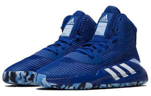 Баскетбольні кросівки Adidas ProBounce 2019