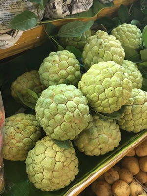 Annona squamosa (аннона луската) Annona squamosa (аннона луската)