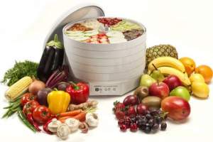 Сушилка овощей и фруктов Ezidri Snackmaker FD500. Сушилка овощей и фруктов Ezidri Snackmaker FD500.