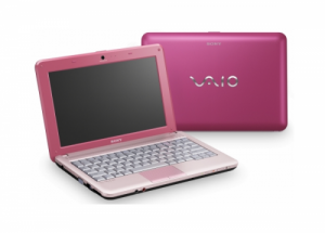 Ноутбук Sony VAIO VPCM13M1R/Р