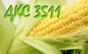 Семена кукурузы ДКС 3511 Monsanto