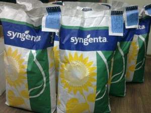 Семена подсолнечника НК Брио Syngenta