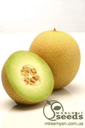 Дыня Джукар F1 100 семян. (Rijk Zwaan)