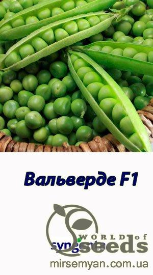 Горох Вальверде 100 000 семян. (Syngenta) Горох Вальверде 100 000 семян. (Syngenta)