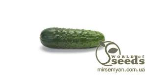 Огурец Ленара F1 250 семян. (Rijk Zwaan)