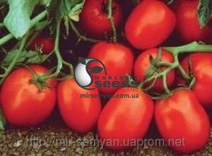 Помидоры Чибли 2500 семян. (Syngenta) Помидоры Чибли 2500 семян. (Syngenta)
