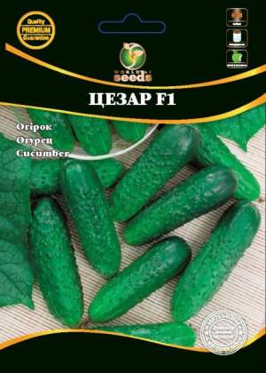 Огурец Цезарь F1 4г WoS Огурец Цезарь F1 4г WoS
