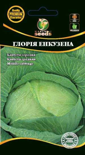 Капуста Глория Энкузена 1г WoS Капуста Глория Энкузена 1г WoS