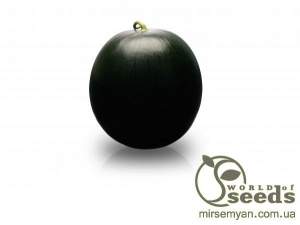 Арбуз Баронесса F1 100 семян. (Rijk Zwaan)