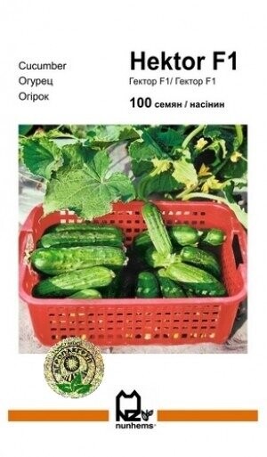 Огурец Гектор F1 100 семян. А Огурец Гектор F1 100 семян. А