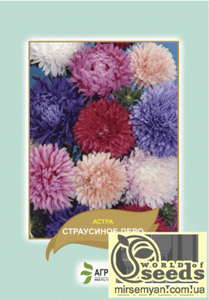 Астра Страусиное перо (смесь) 0,5г А