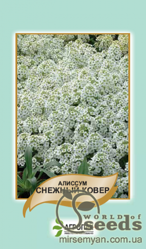 Алисум Снежный ковер 3г А