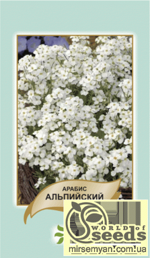 Арабис альпийский 0,1г белый