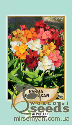 Канна индийская 5 cемян. А Канна индийская 5 cемян. А
