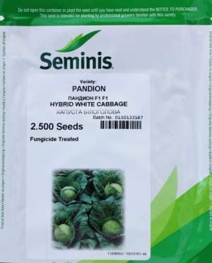 Капуста Пандион F1 2500 семян. (Seminis) Капуста Пандион F1 2500 семян. (Seminis)