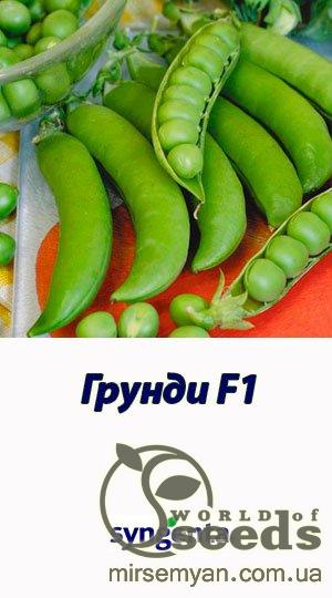 Горох Грюнди 100 000 семян. (Syngenta) Горох Грюнди 100 000 семян. (Syngenta)
