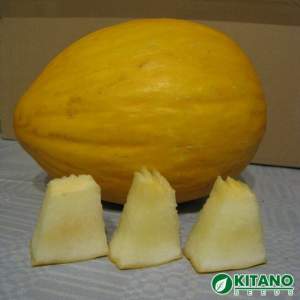 Дыня Агаси F1, 1000 семян. (Kitano) Дыня Агаси F1, 1000 семян. (Kitano)