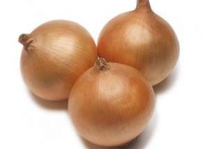 Лук Рекс F1 250 000 семян. (Takii Seeds) Лук Рекс F1 250 000 семян. (Takii Seeds)