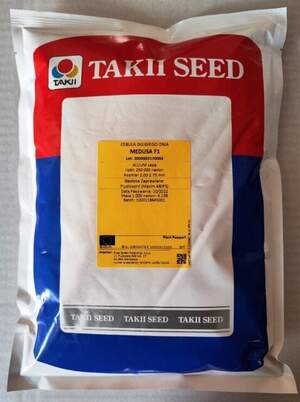 Лук Медуза 250 000 семян. (Takii Seeds) Лук Медуза 250 000 семян. (Takii Seeds)