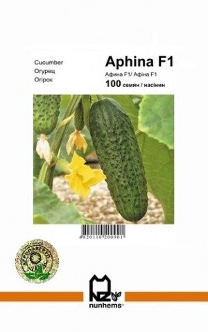 Огурец Афина F1 – 100 семян. А (Nunhems)