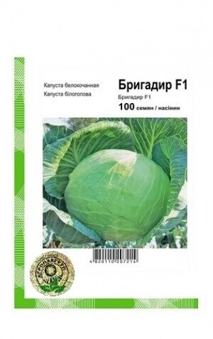 Капуста Бригадир F1 100 семян. А Капуста Бригадир F1 100 семян. А