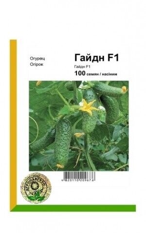 Огурец Гайдн F1 – 100 семян. А (Rijk Zwaan)