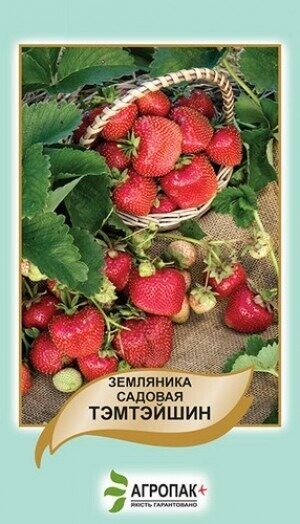 Земляника Темптейшн 0,1г А Земляника Темптейшн 0,1г А