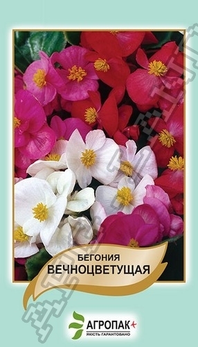 Бегония вечноцветущая, смесь 0,01г А Бегония вечноцветущая, смесь 0,01г А