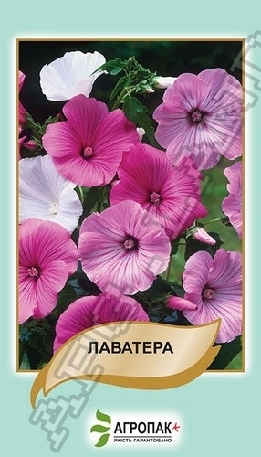 Лаватера смесь 0,5г Лаватера смесь 0,5г