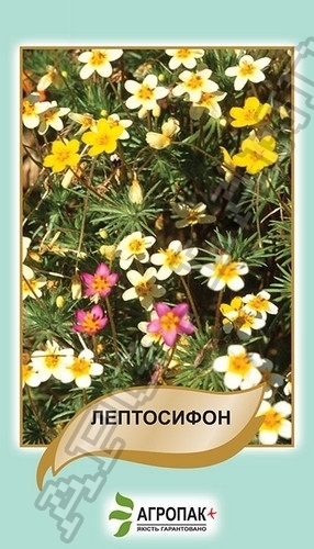 Лептосифон (смесь) 0,1г А Лептосифон (смесь) 0,1г А