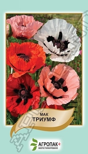 Мак Триумф 0,1г А Мак Триумф 0,1г А
