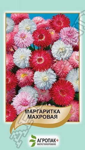 Маргаритка махровая, смесь – 0,1 грамм.