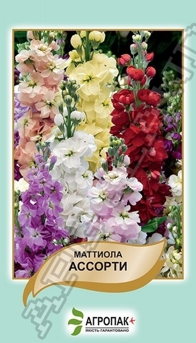 Маттиола седая Ассорти, смесь - 0,2 гр. Маттиола седая Ассорти, смесь - 0,2 гр.