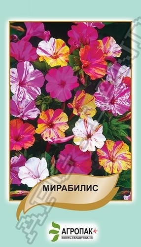Мирабилис (смесь) 2г А Мирабилис (смесь) 2г А