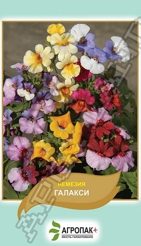 Немезия Галакси 0,1г А Немезия Галакси 0,1г А