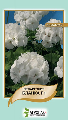 Пеларгония зональная Бланка F1,  5 cемян. А Пеларгония зональная Бланка F1,  5 cемян. А