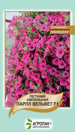 Петуния ампельная, сурфиния Парпл Вельвет F1 - 5 семян, А Петуния ампельная, сурфиния Парпл Вельвет F1 - 5 семян, А