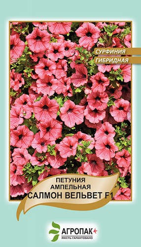 Петуния ампельная, сурфиния Салмон Вельвет F1 - 5 семян, А Петуния ампельная, сурфиния Салмон Вельвет F1 - 5 семян, А