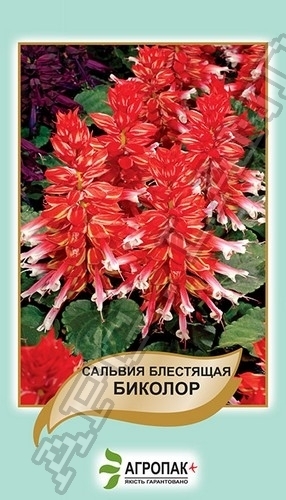 Сальвия Биколор 0,2г А Сальвия Биколор 0,2г А