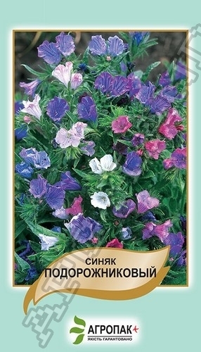 Синяк подорожниковый, смесь 0,5г А Синяк подорожниковый, смесь 0,5г А