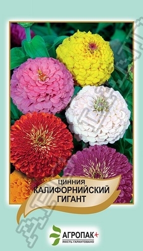 Цинния изящная Калифорнийский гигант – 0,5 гр.