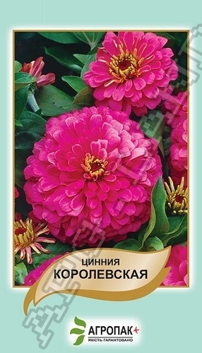 Цинния изящная Королевская – 0,5 гр.