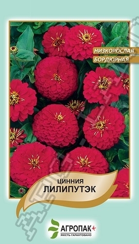 Цинния изящная Лилипутэк, красная – 0,2 гр.