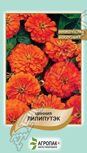Цинния изящная Лилипутэк, оранжевая - 0,2 гр.