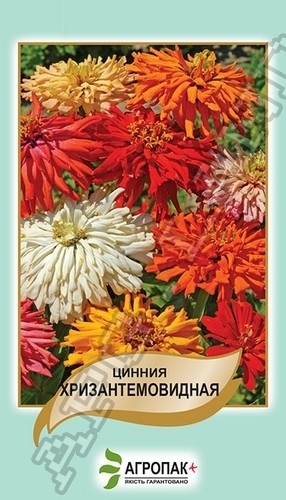 Цинния изящная Хризантемовидная, смесь – 0,5 гр.